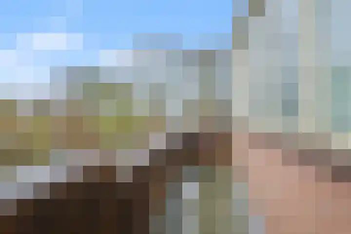 Oliemolen 199 Hoorn thumbnail 34