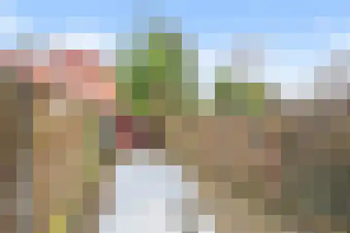 Oliemolen 199 Hoorn thumbnail 37