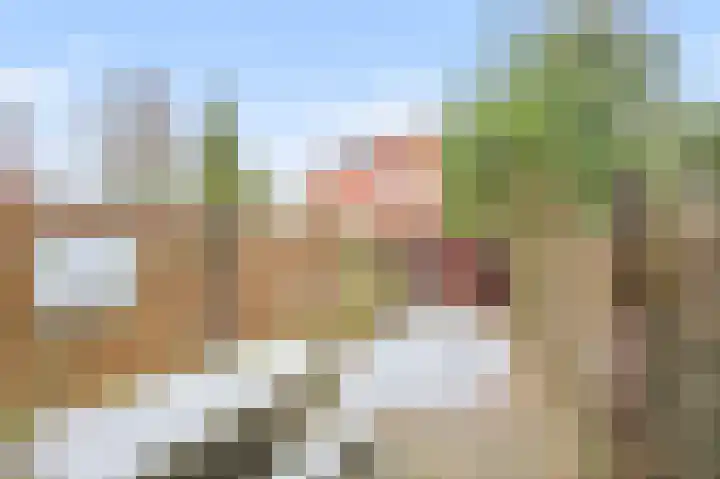 Oliemolen 199 Hoorn thumbnail 6