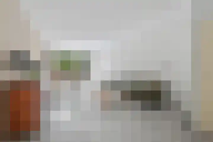 Oliemolen 199 Hoorn thumbnail 7