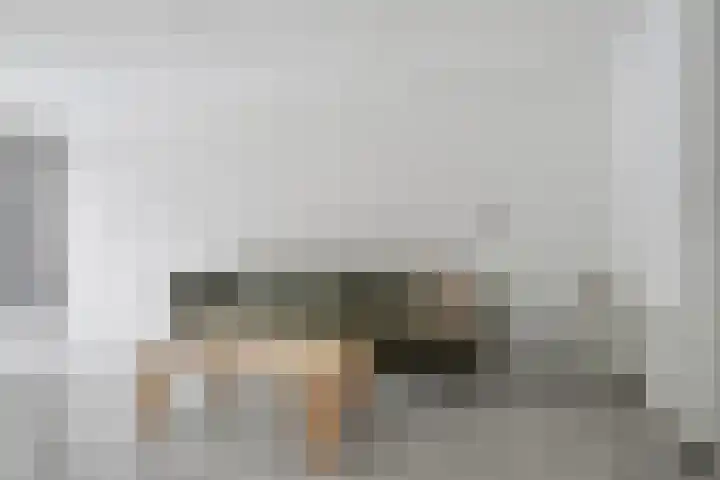 Oliemolen 199 Hoorn thumbnail 8