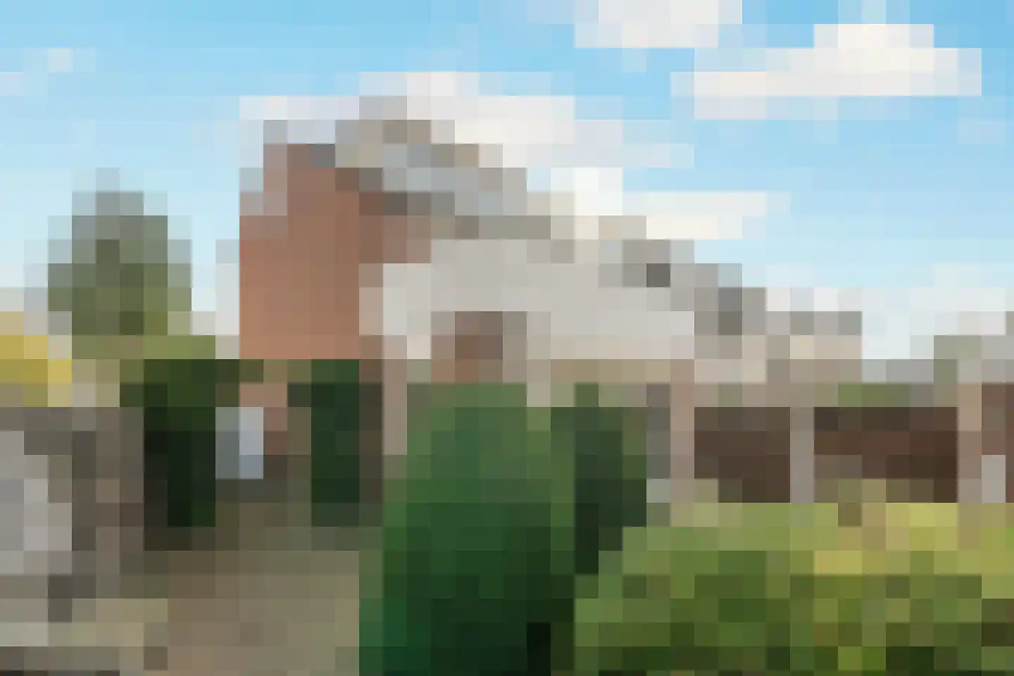 Oliemolen 2 Koog aan de Zaan