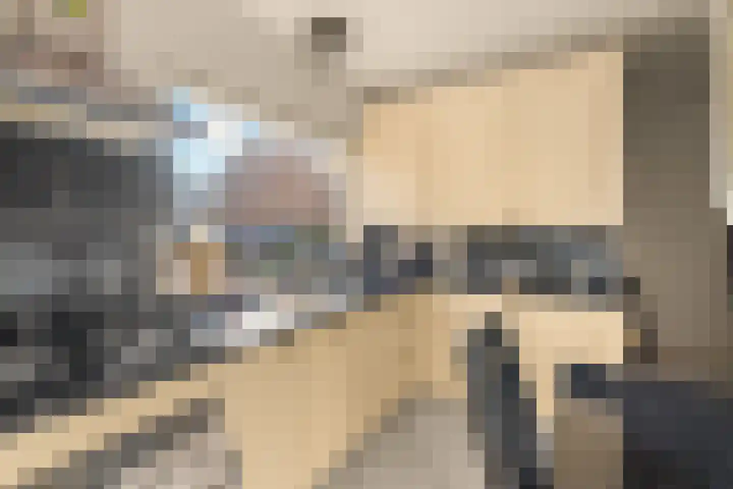 Oliemolen 2 Koog aan de Zaan thumbnail 11