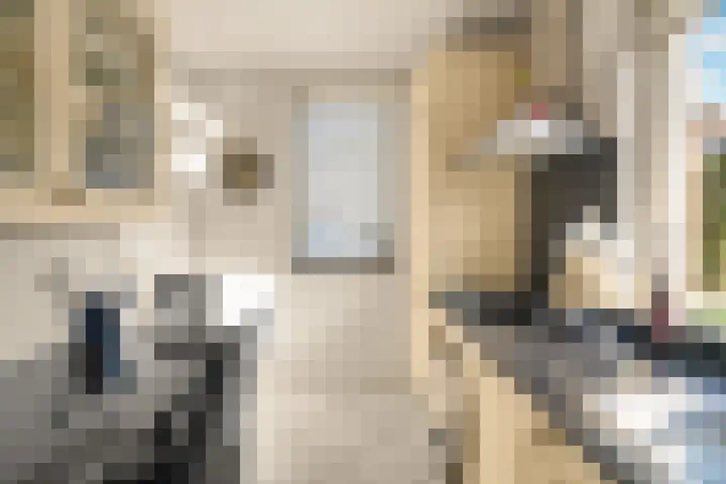 Oliemolen 2 Koog aan de Zaan thumbnail 12