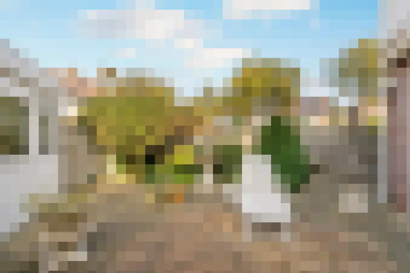 Oliemolen 2 Koog aan de Zaan thumbnail 13