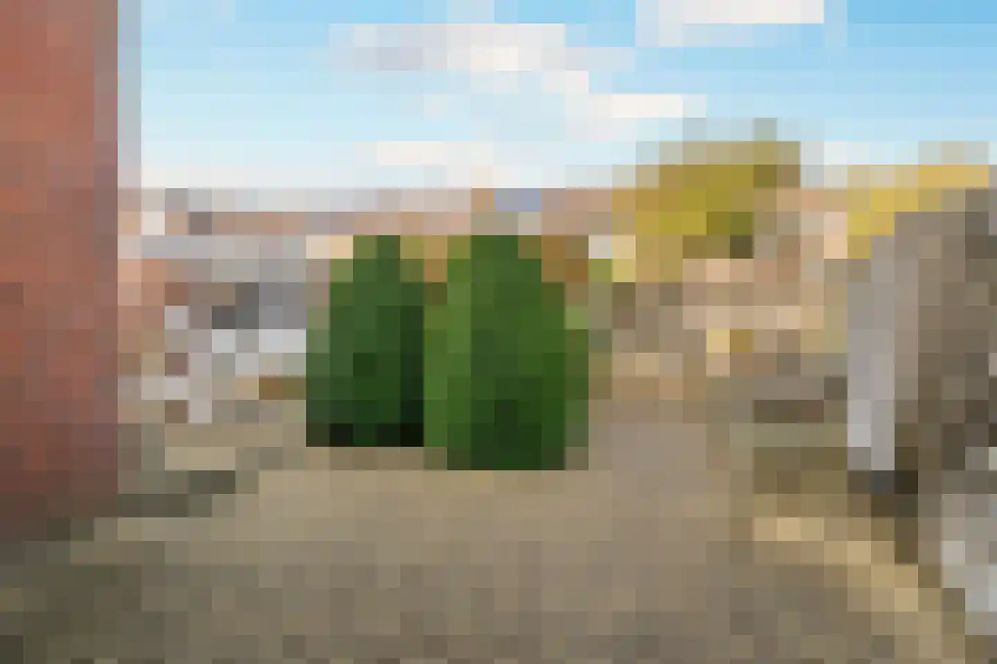 Oliemolen 2 Koog aan de Zaan thumbnail 15