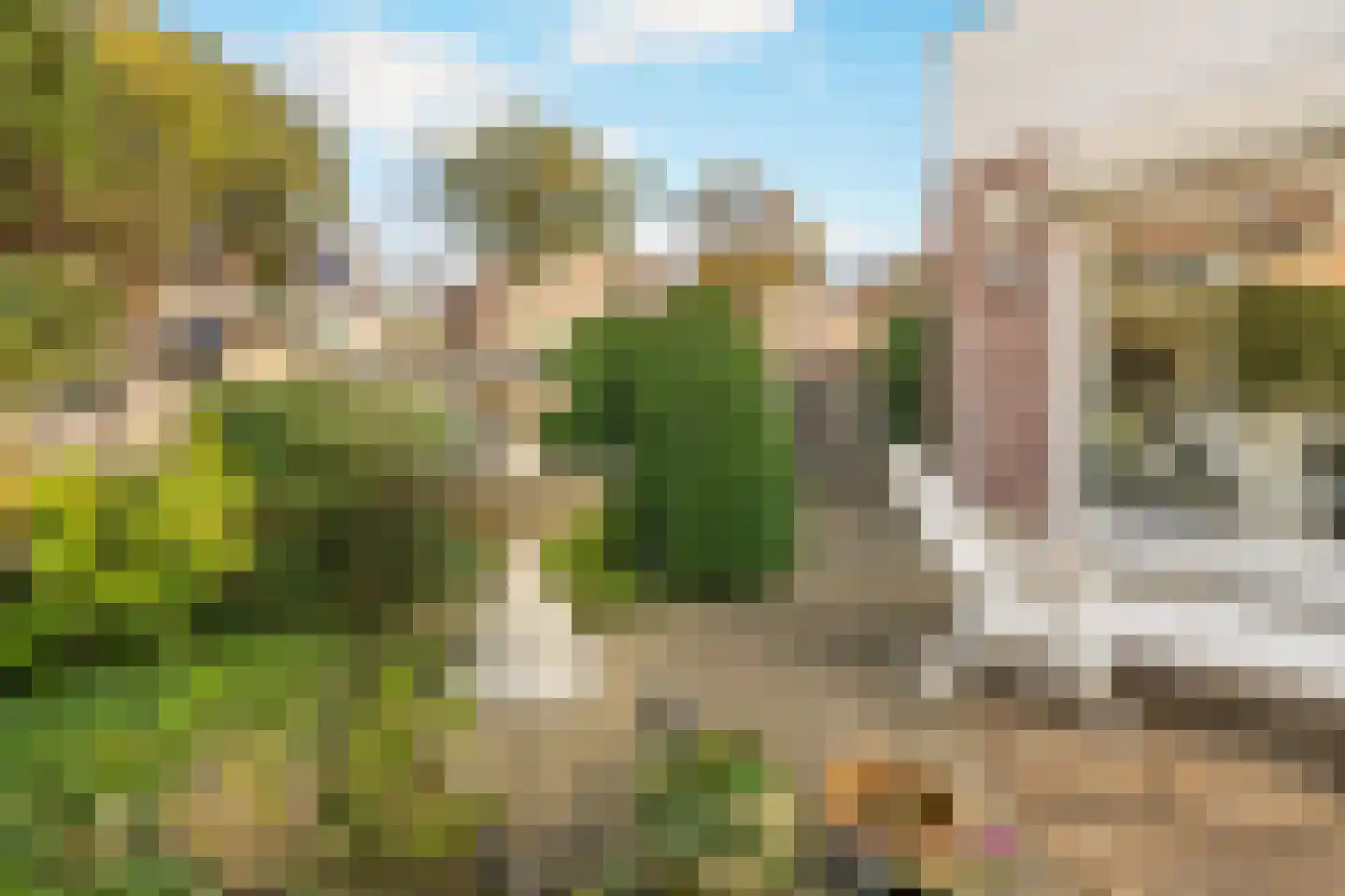 Oliemolen 2 Koog aan de Zaan thumbnail 16