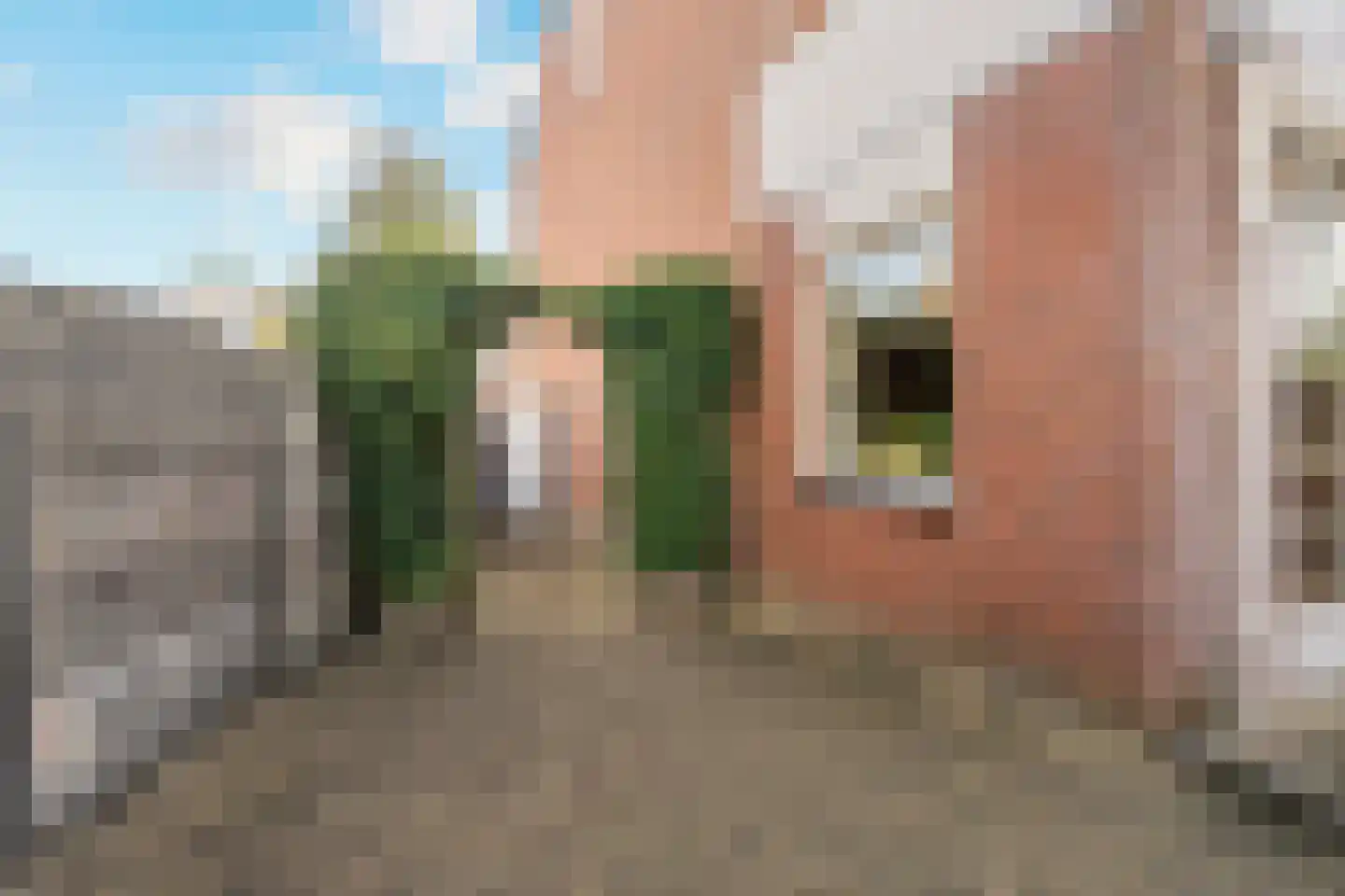 Oliemolen 2 Koog aan de Zaan thumbnail 17
