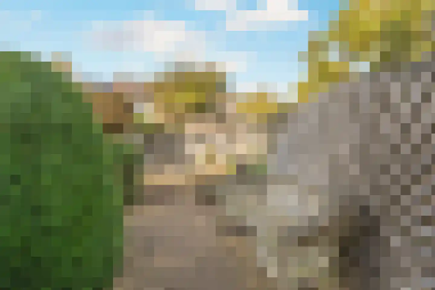 Oliemolen 2 Koog aan de Zaan thumbnail 18