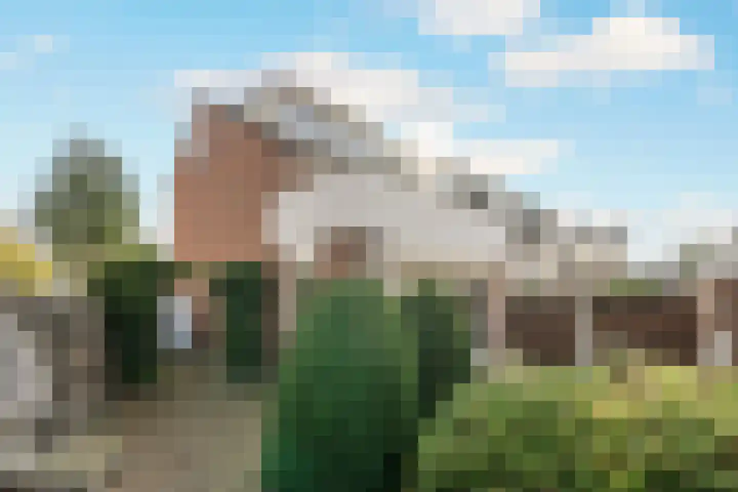 Oliemolen 2 Koog aan de Zaan foto 2