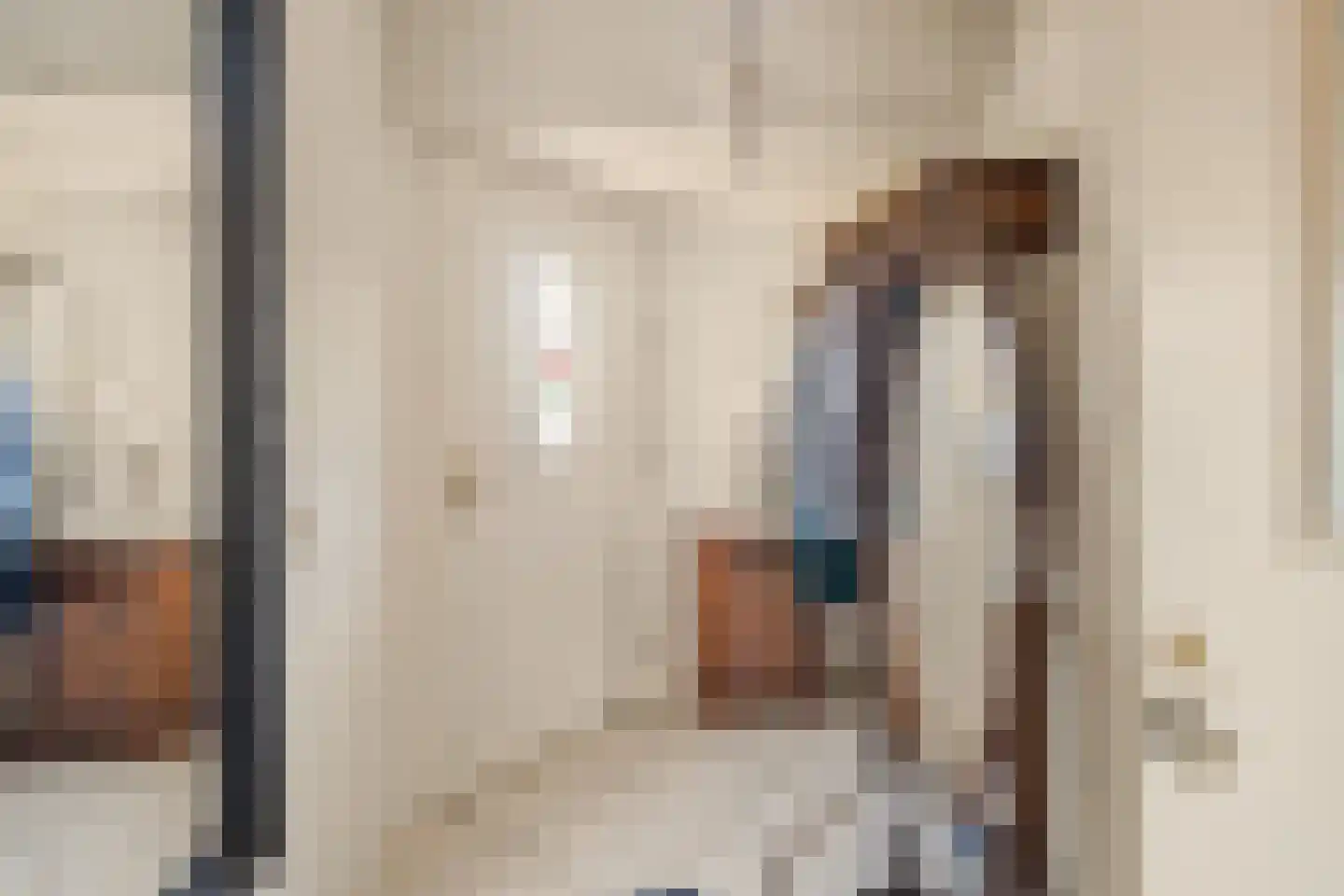 Oliemolen 2 Koog aan de Zaan thumbnail 20