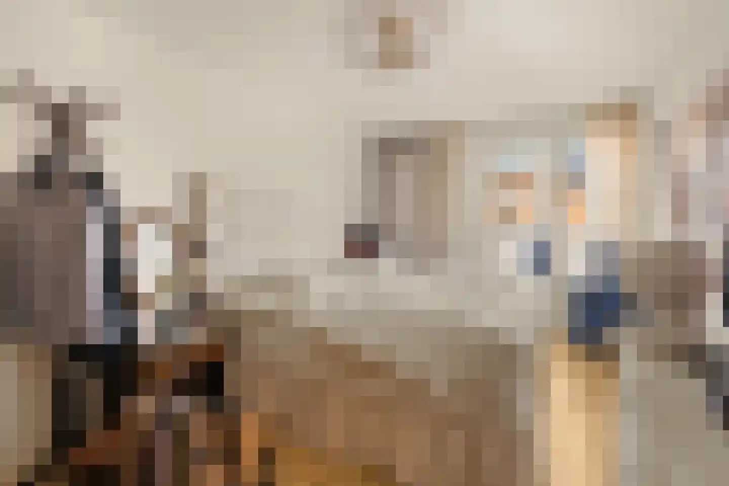 Oliemolen 2 Koog aan de Zaan thumbnail 27