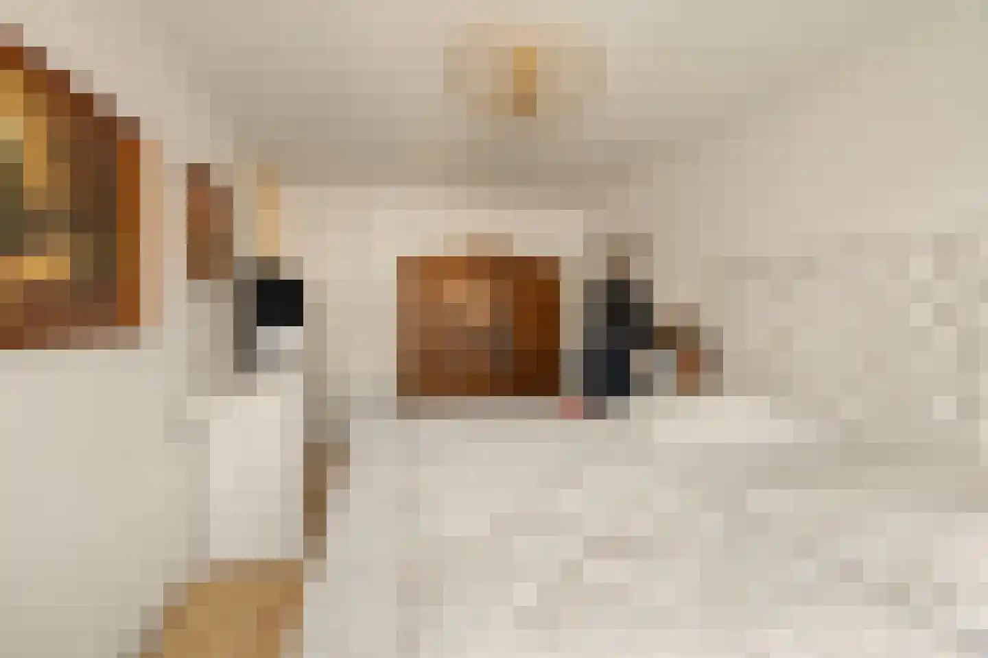 Oliemolen 2 Koog aan de Zaan thumbnail 28