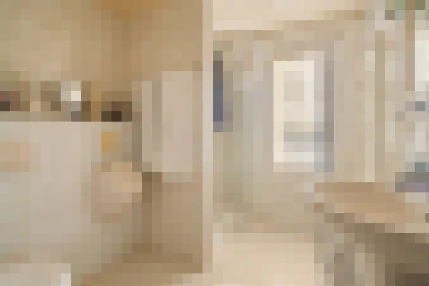 Oliemolen 2 Koog aan de Zaan thumbnail 30