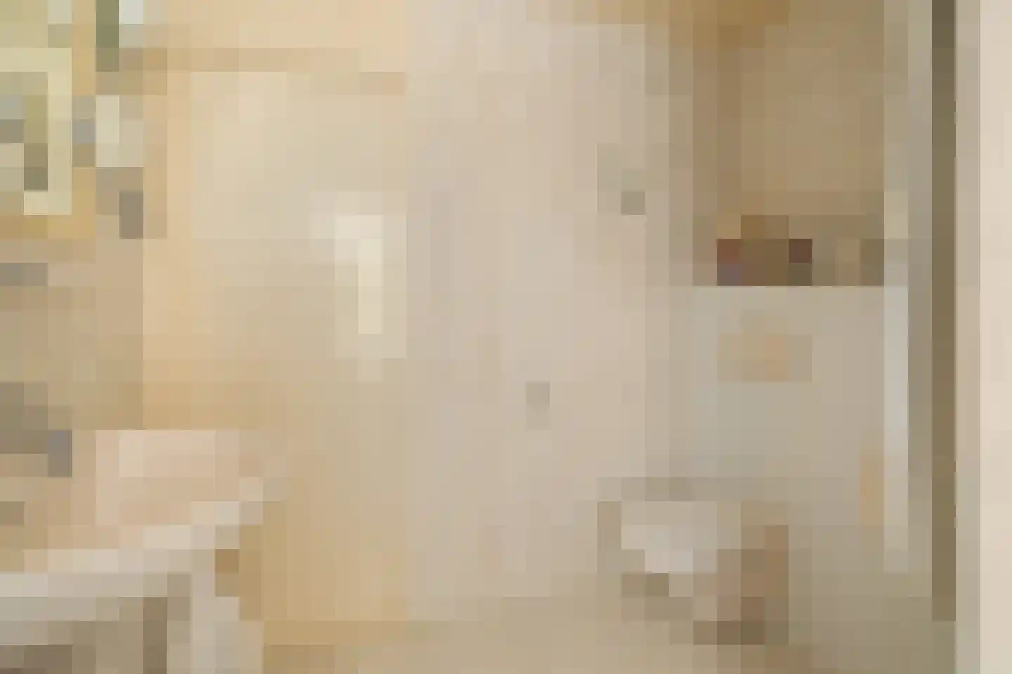 Oliemolen 2 Koog aan de Zaan thumbnail 31