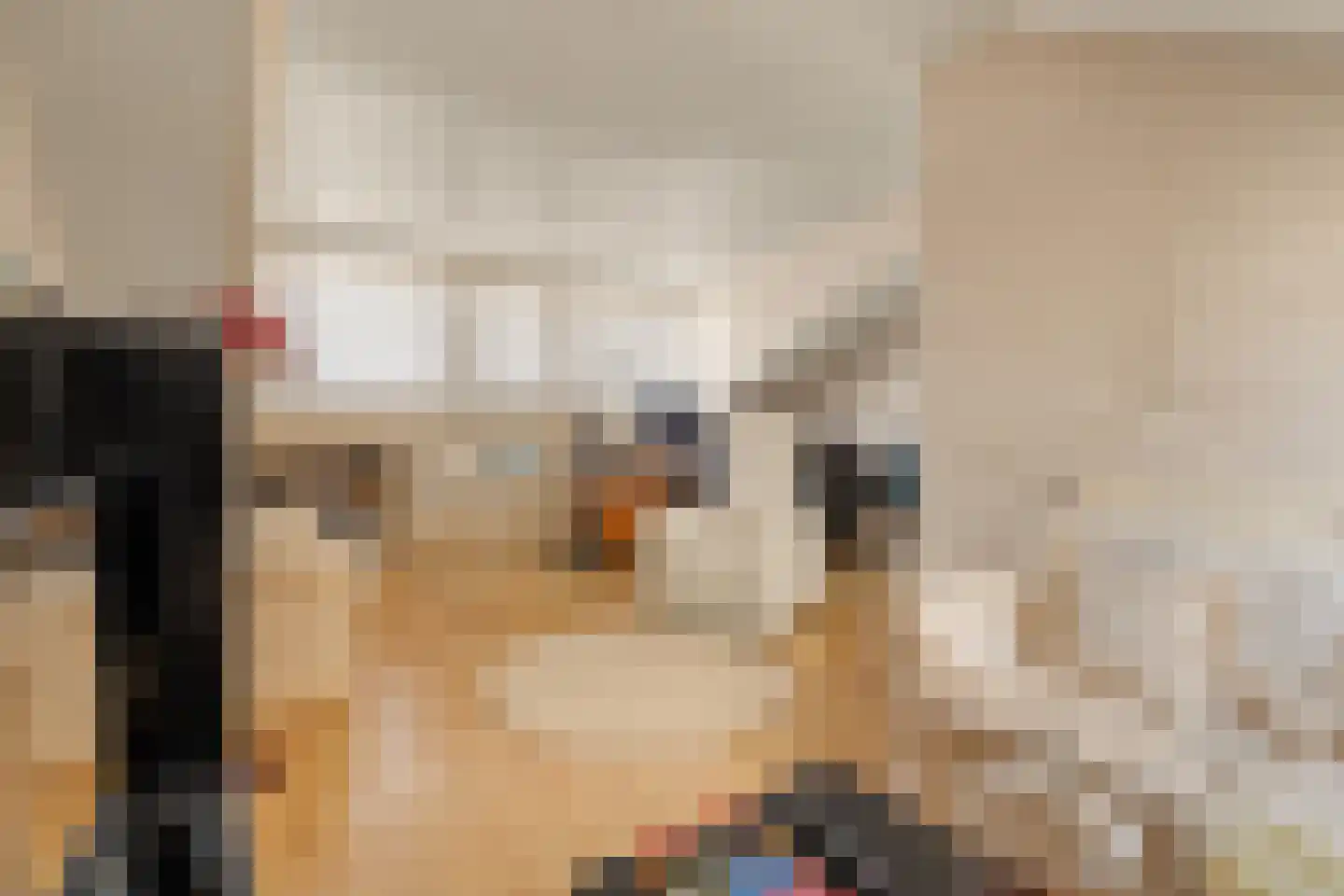 Oliemolen 2 Koog aan de Zaan thumbnail 35