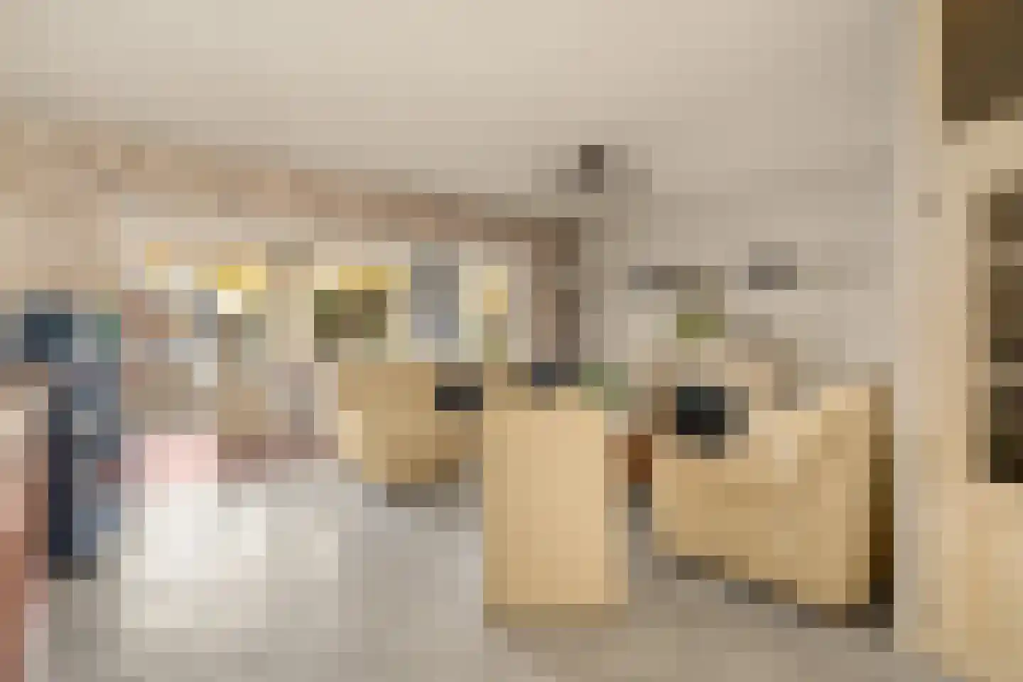 Oliemolen 2 Koog aan de Zaan thumbnail 7