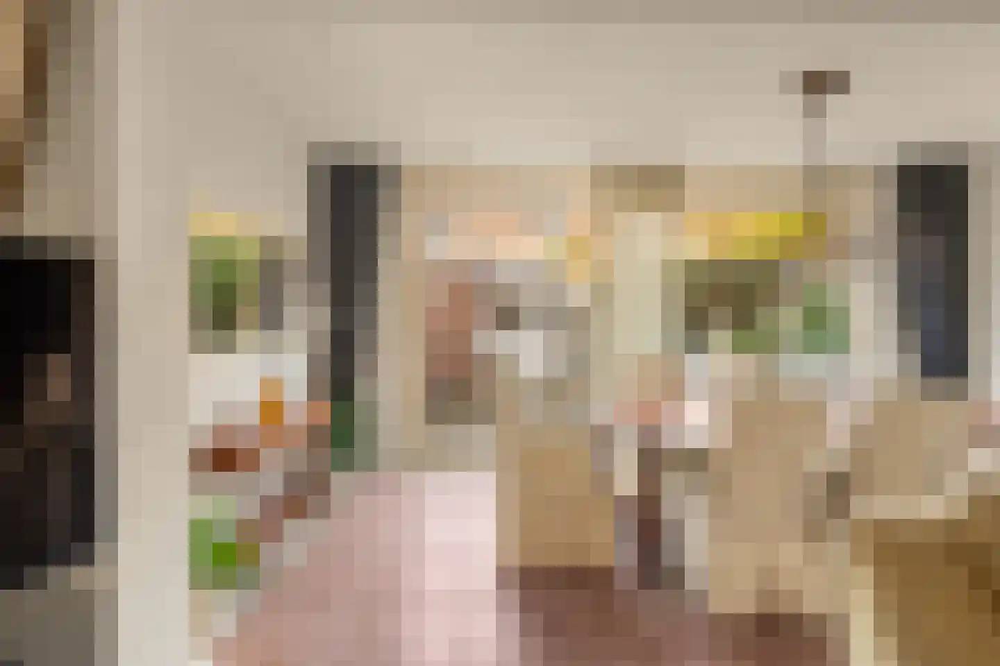 Oliemolen 2 Koog aan de Zaan thumbnail 8