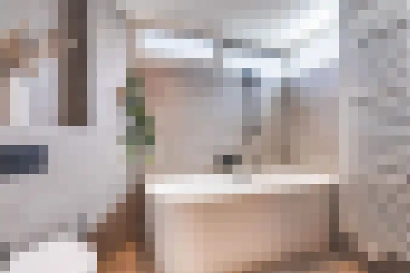 Oliemolen 21 Hoorn thumbnail 28