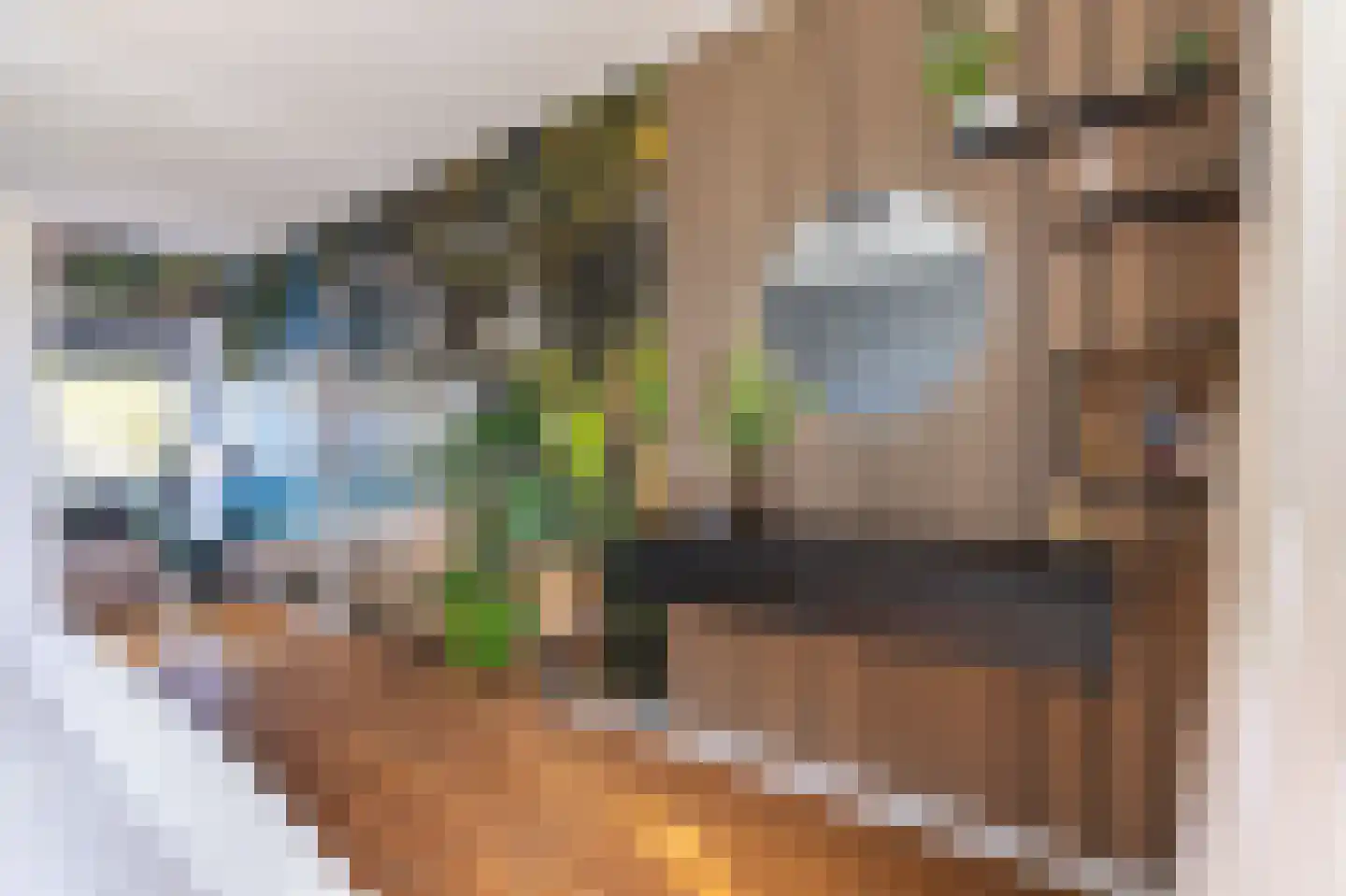 Oliemolen 21 Hoorn thumbnail 37