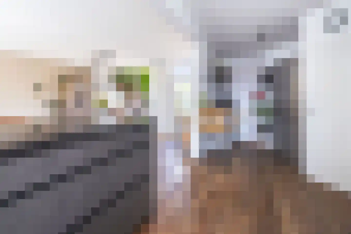 Oliemolen 21 Hoorn thumbnail 6