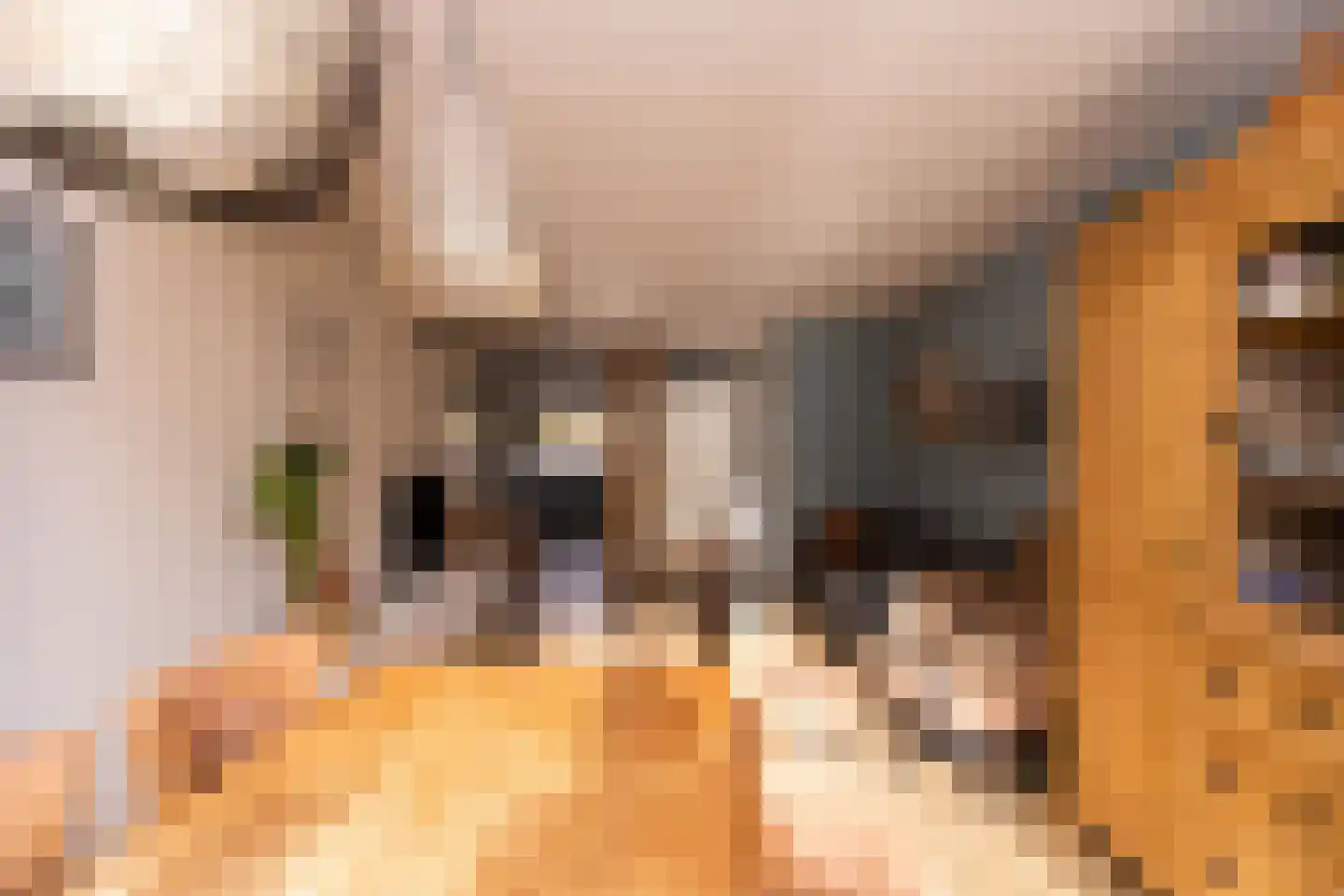 Oliemolen 212 Hoorn thumbnail 19