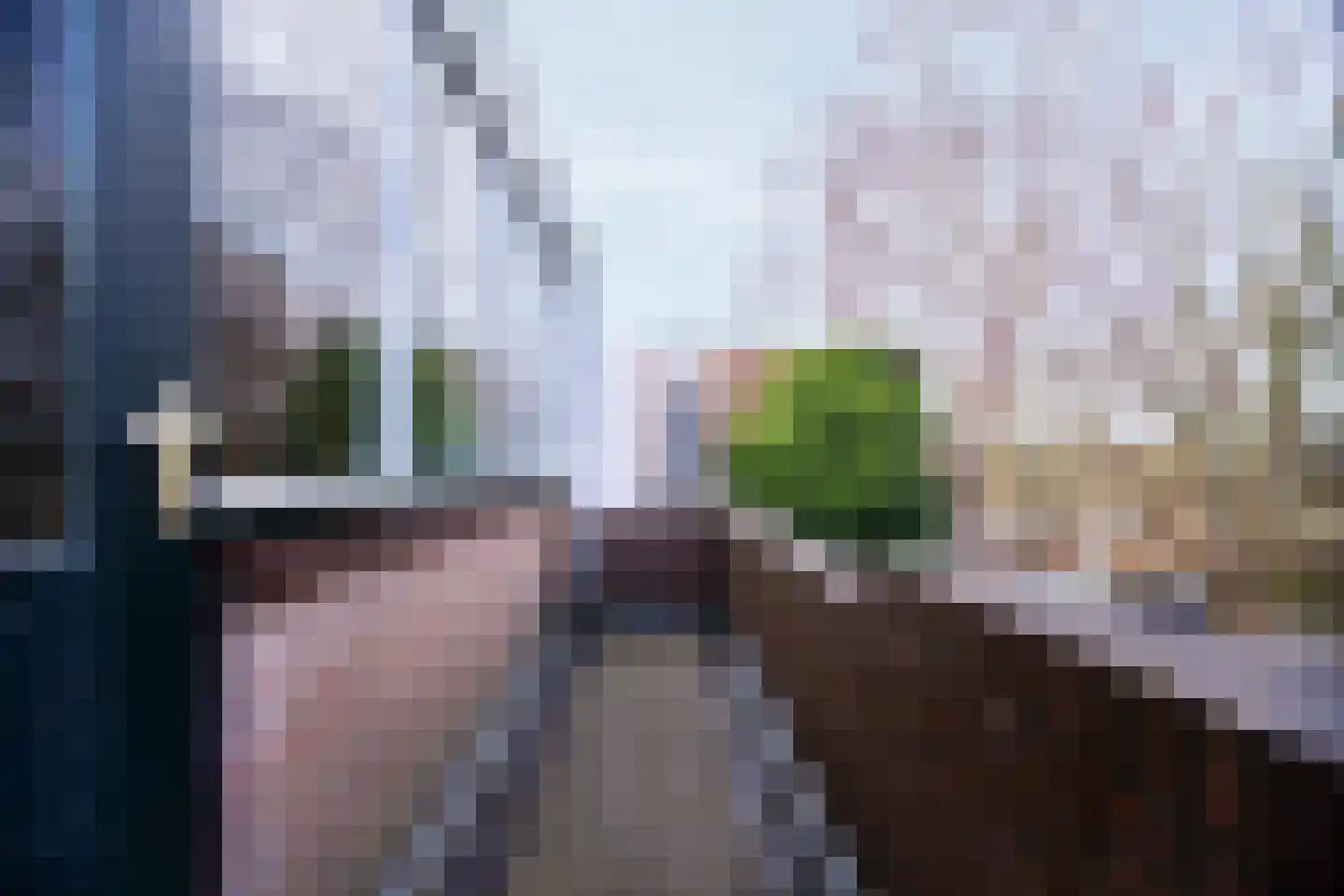 Oliemolen 212 Hoorn thumbnail 52
