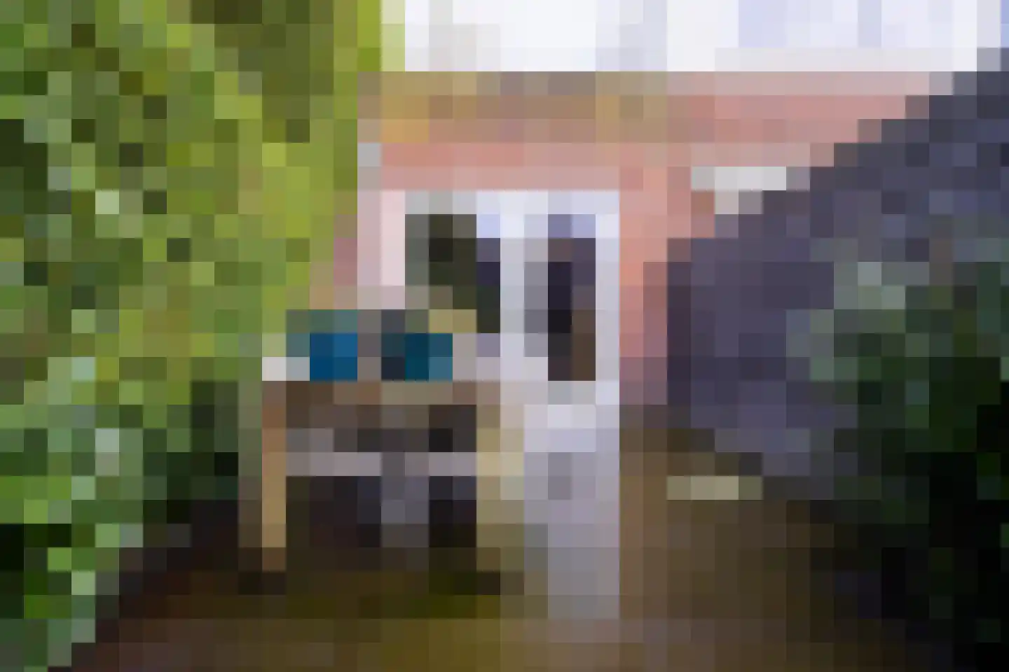 Oliemolen 212 Hoorn thumbnail 59
