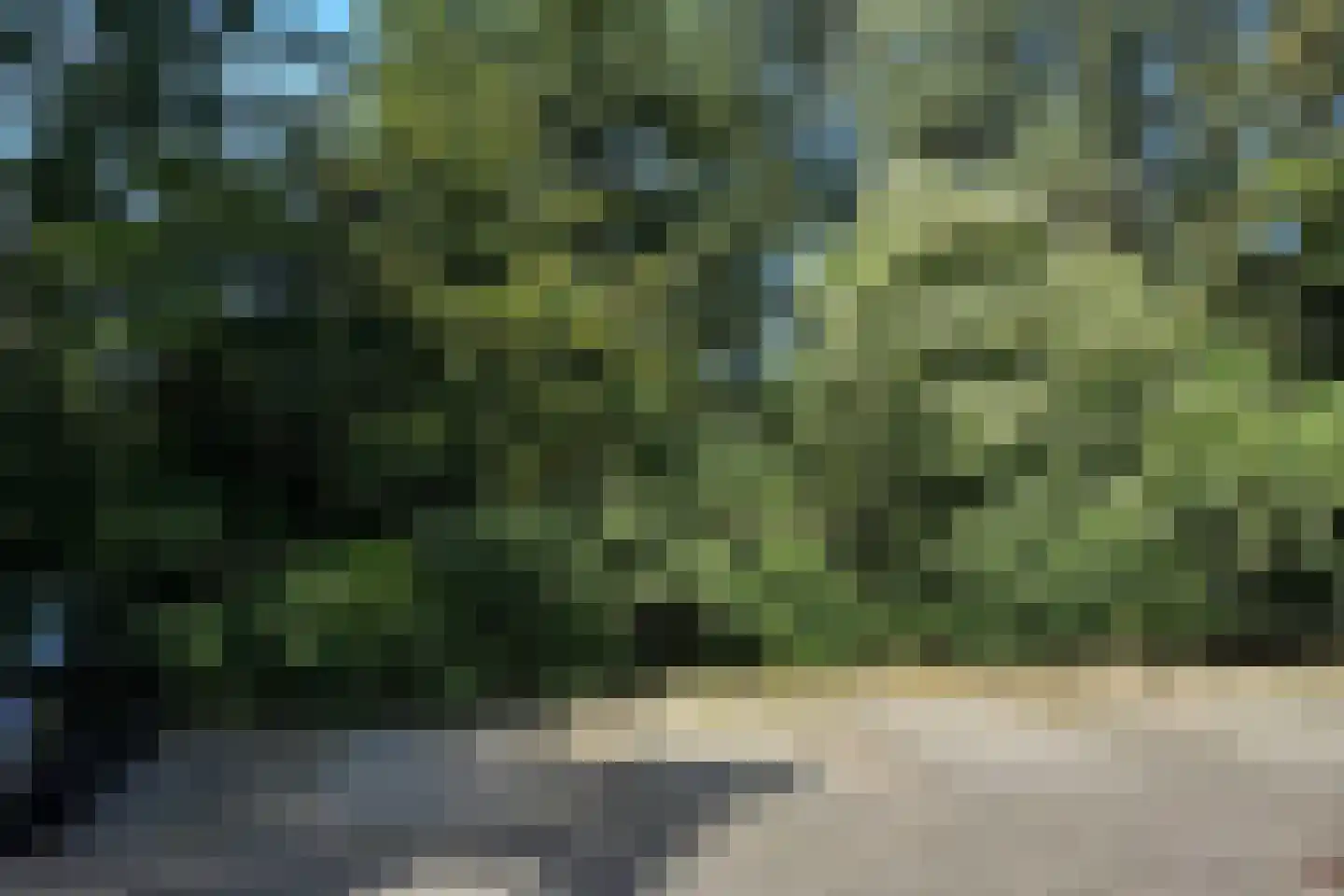 Oliemolen 212 Hoorn thumbnail 8