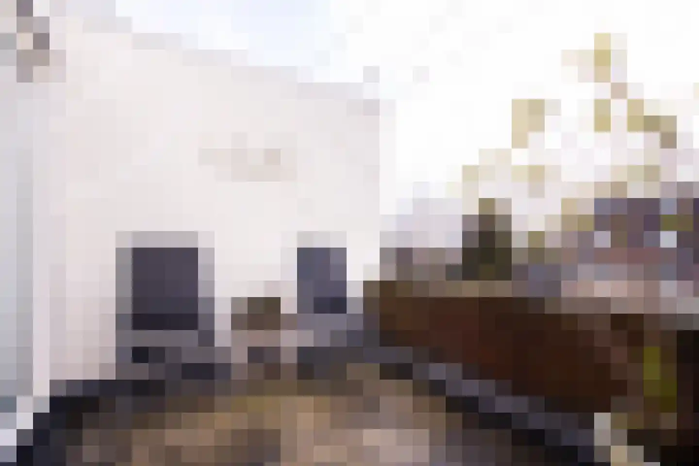 Oliemolen 212 Hoorn (NH) thumbnail 29