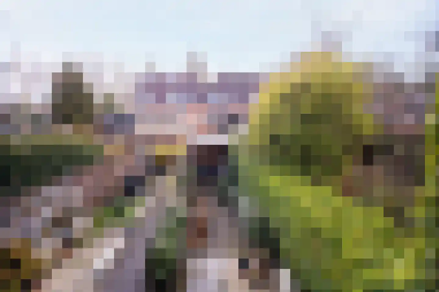 Oliemolen 212 Hoorn (NH) thumbnail 46