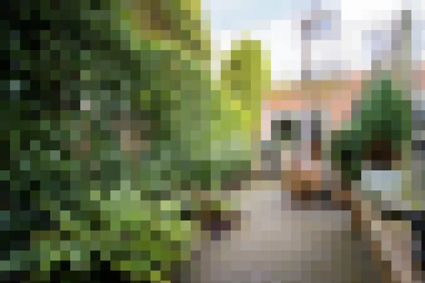 Oliemolen 212 Hoorn (NH) thumbnail 49