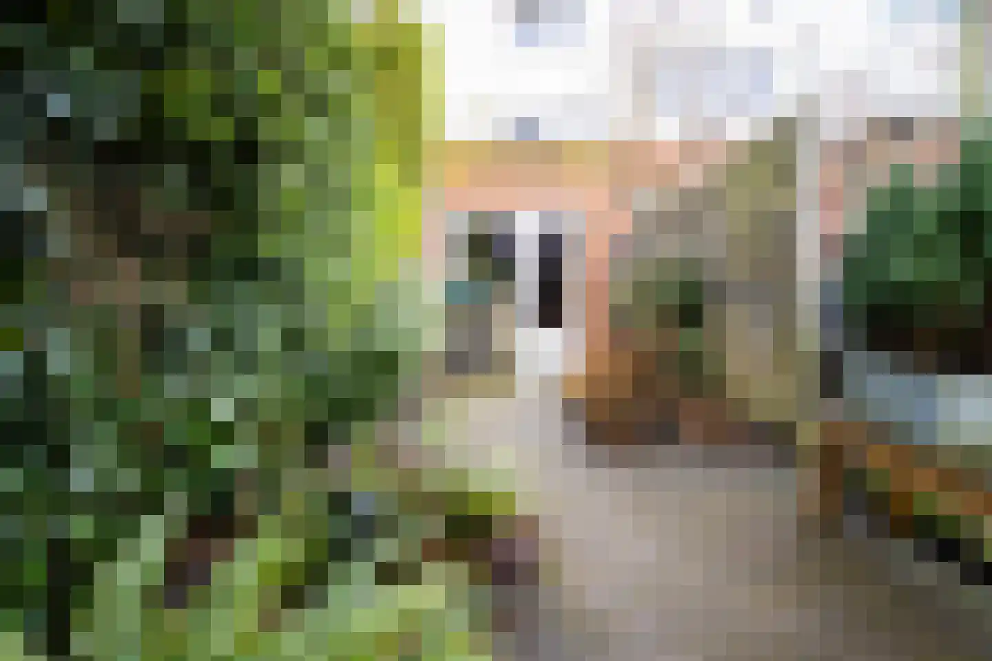 Oliemolen 212 Hoorn (NH) thumbnail 50