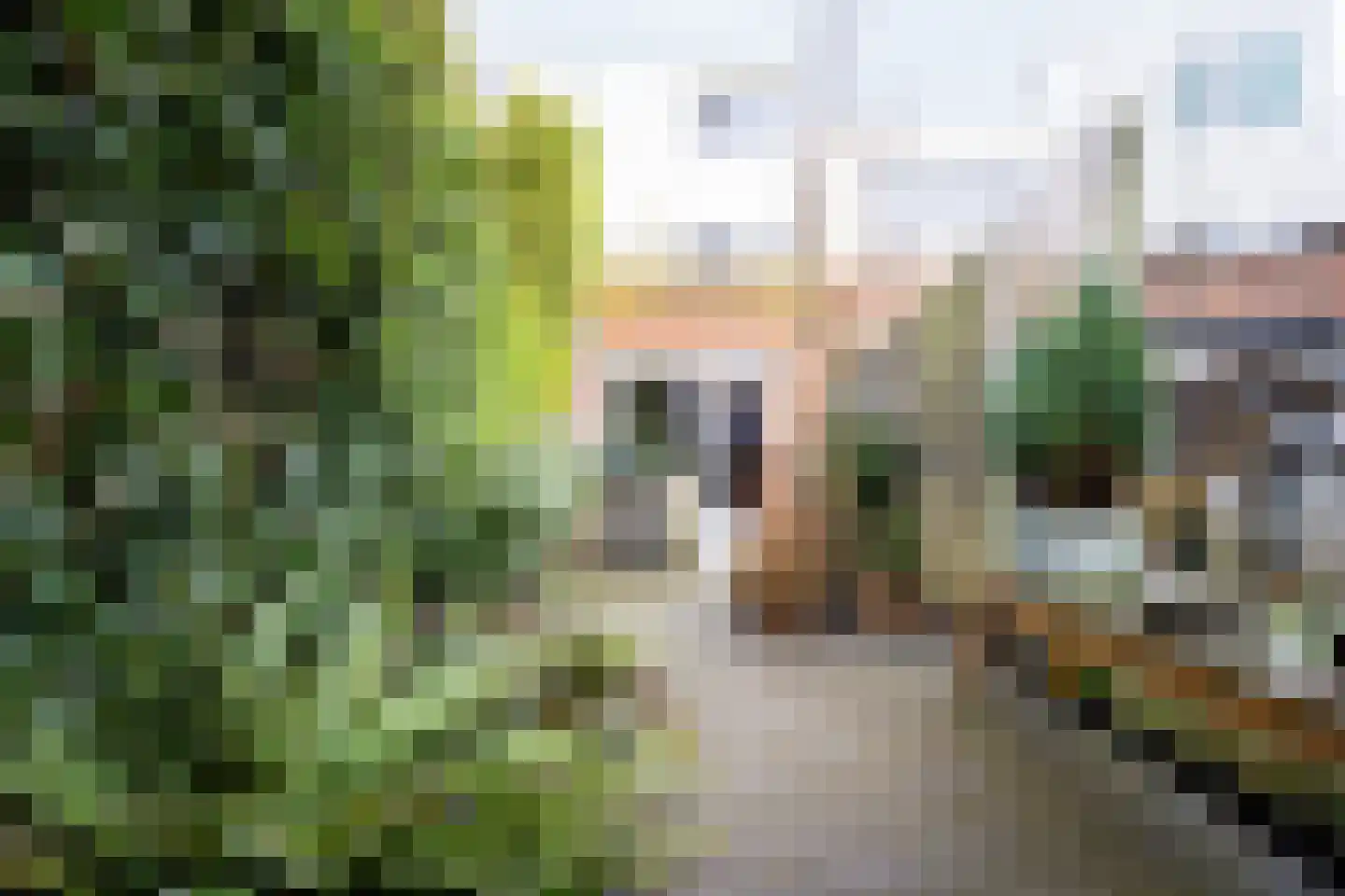 Oliemolen 212 Hoorn (NH) thumbnail 53
