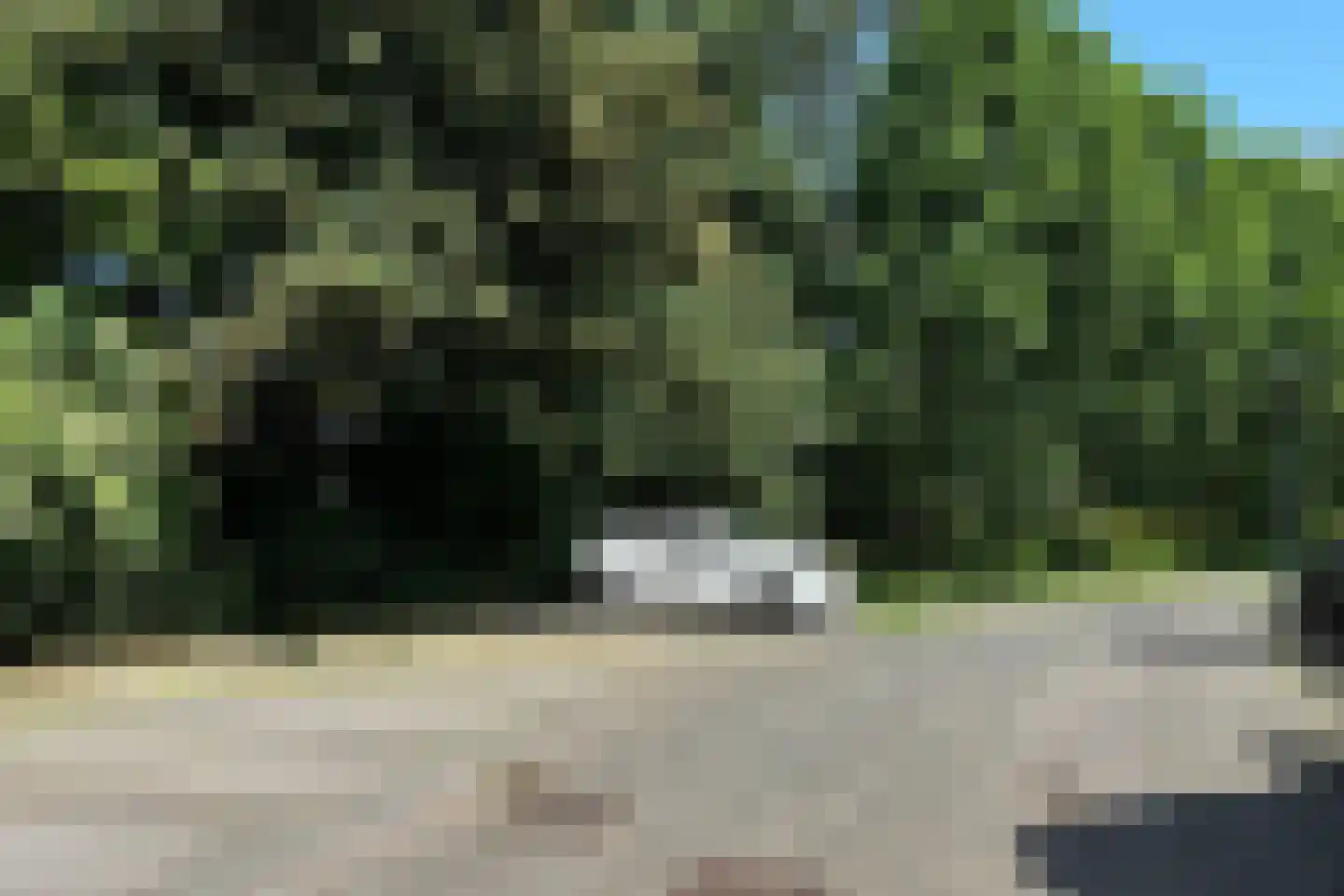Oliemolen 212 Hoorn (NH) thumbnail 8