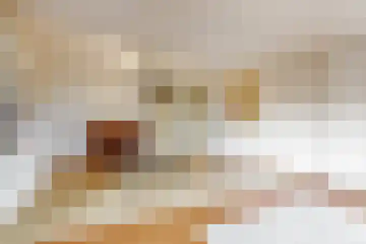 Oliemolen 213 Hoorn thumbnail 33