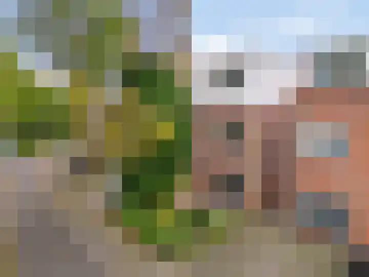 Oliemolen 213 Hoorn thumbnail 4