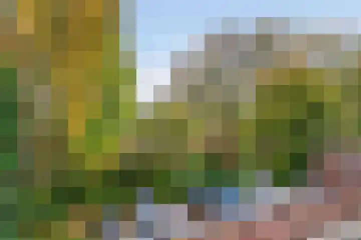 Oliemolen 213 Hoorn thumbnail 48