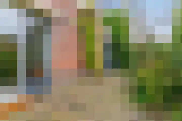 Oliemolen 213 Hoorn thumbnail 49