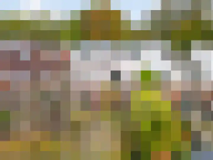 Oliemolen 213 Hoorn thumbnail 56