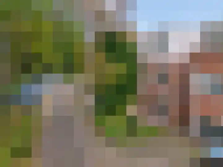 Oliemolen 213 Hoorn thumbnail 58