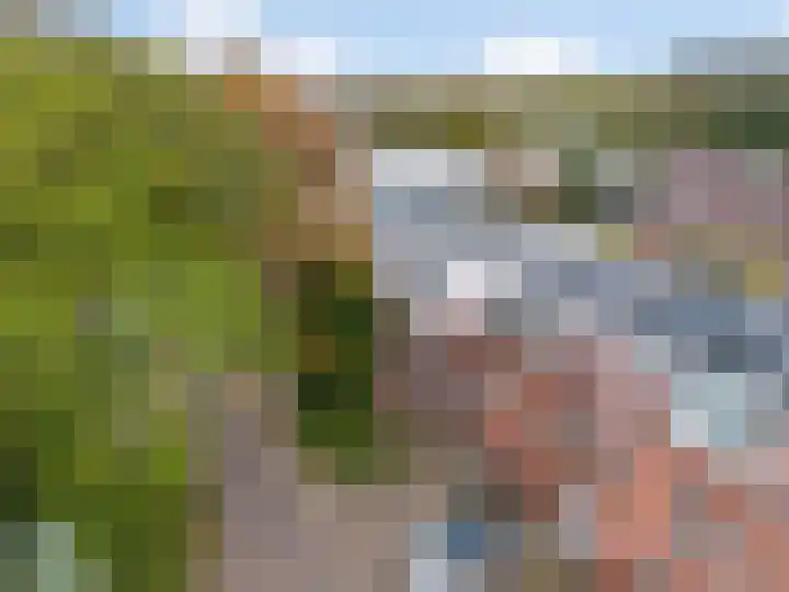 Oliemolen 213 Hoorn thumbnail 59