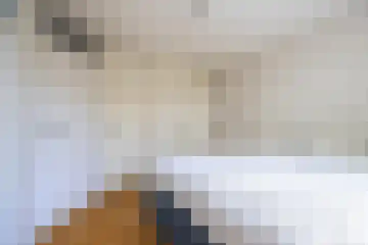 Oliemolen 3 Alphen aan den Rijn thumbnail 10