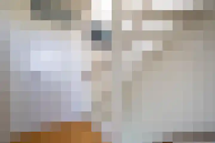 Oliemolen 3 Alphen aan den Rijn thumbnail 15