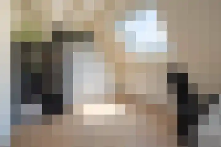 Oliemolen 3 Alphen aan den Rijn thumbnail 17
