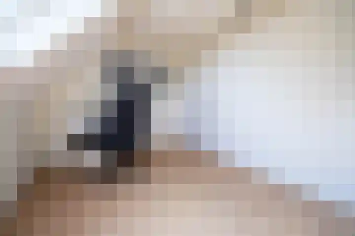 Oliemolen 3 Alphen aan den Rijn thumbnail 18