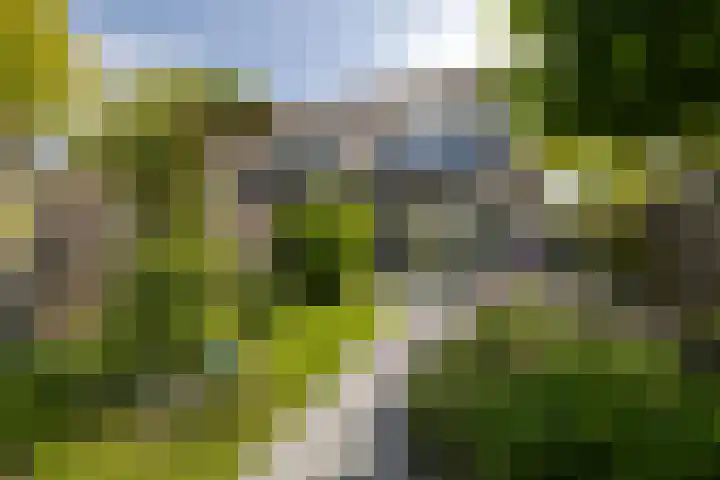 Oliemolen 3 Alphen aan den Rijn foto 2
