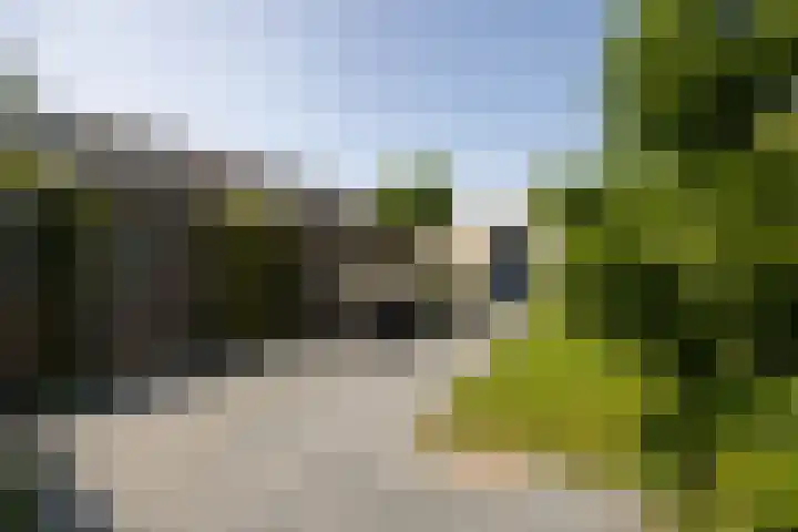 Oliemolen 3 Alphen aan den Rijn thumbnail 20