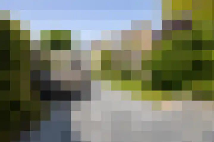 Oliemolen 3 Alphen aan den Rijn thumbnail 21