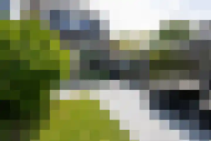 Oliemolen 3 Alphen aan den Rijn thumbnail 22